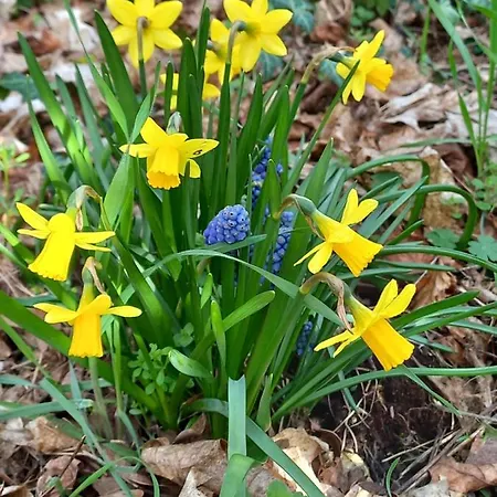 شقة Sauerland Fernblick اولسبرغ