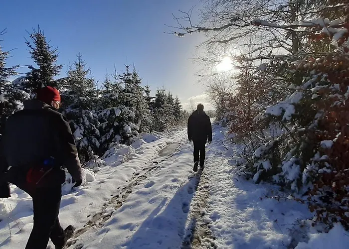 Sauerland Fernblick Апартаменты