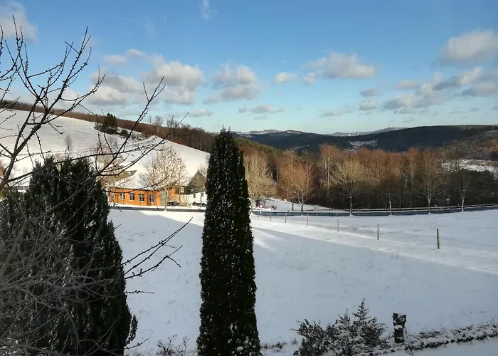 Апартаменты Sauerland Fernblick Ольсберг