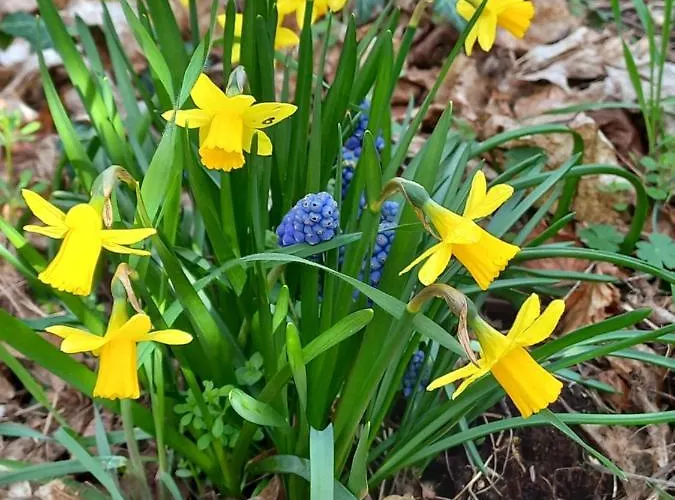 Апартаменты Sauerland Fernblick Ольсберг