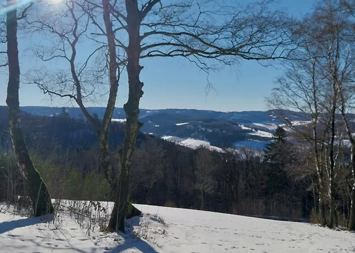 Апартаменты Sauerland Fernblick *